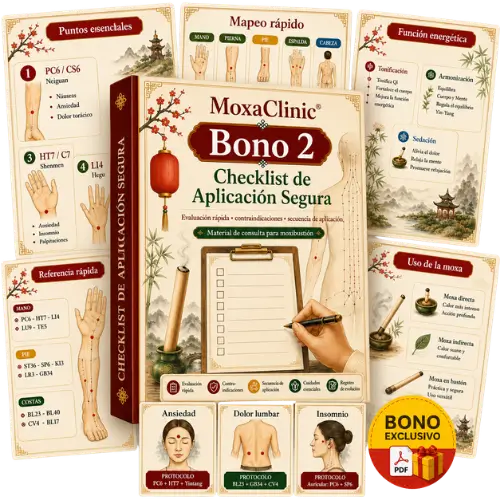 Bono 2 - Checklist de Aplicación Segura
