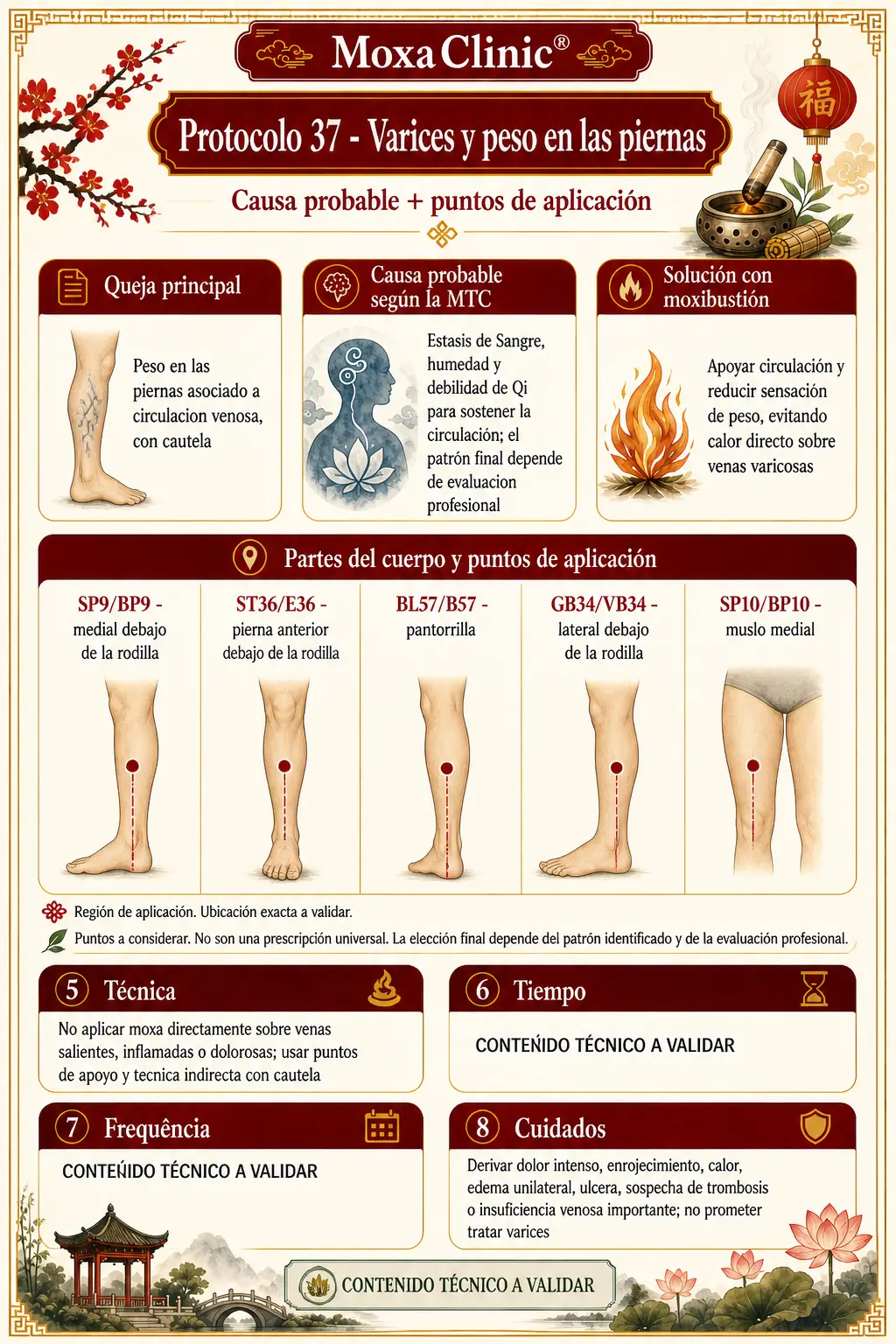 Protocolo 37 - Varices y peso en las piernas